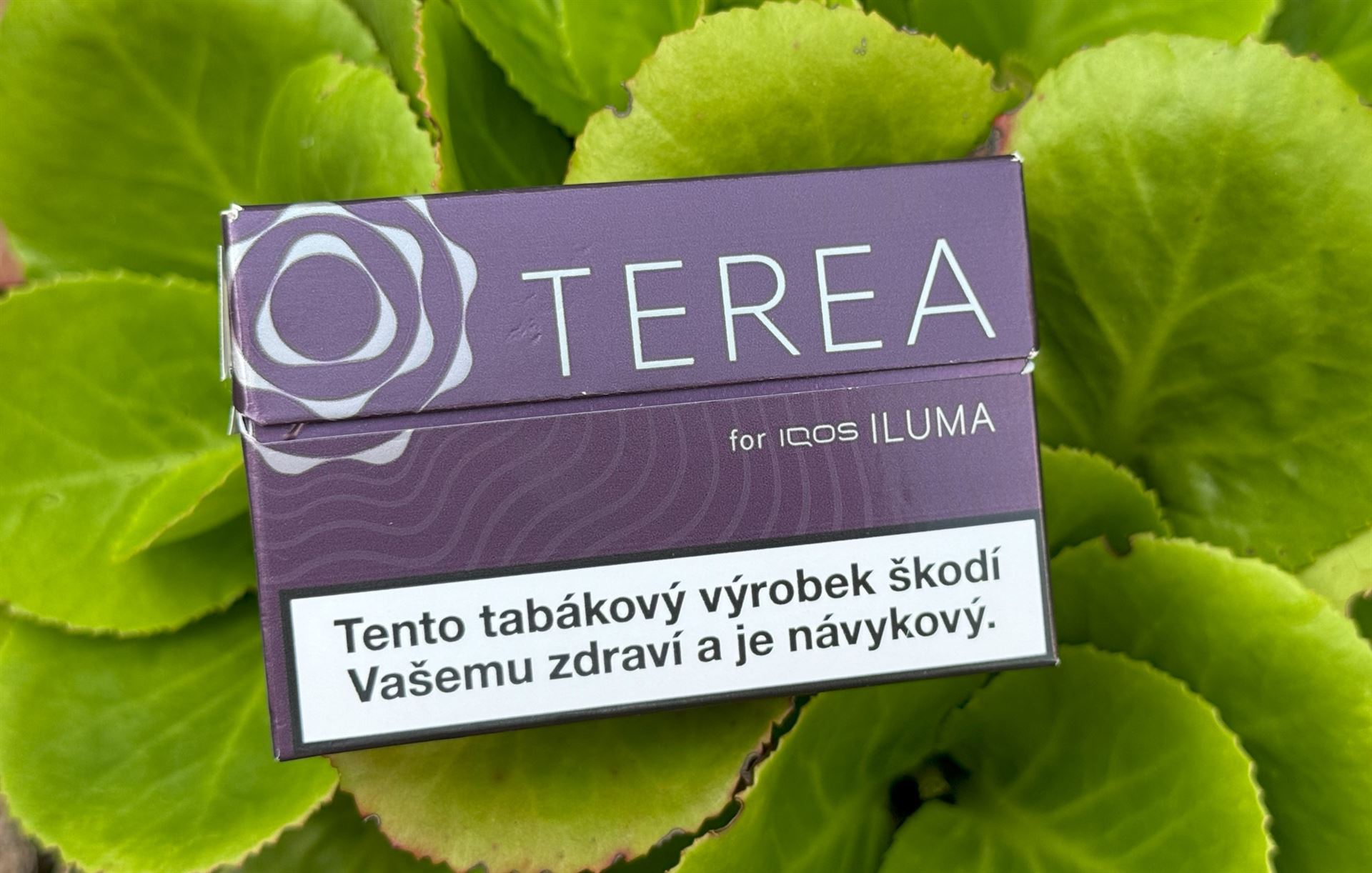 Nová příchuť TEREA KONA pro IQOS ILUMA v prodeji